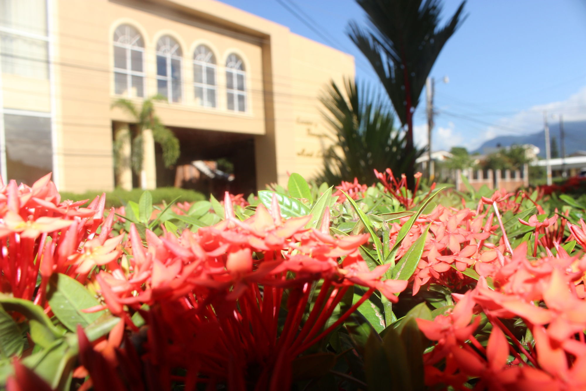 Hotel La Quinta La Ceiba Eksteriør billede